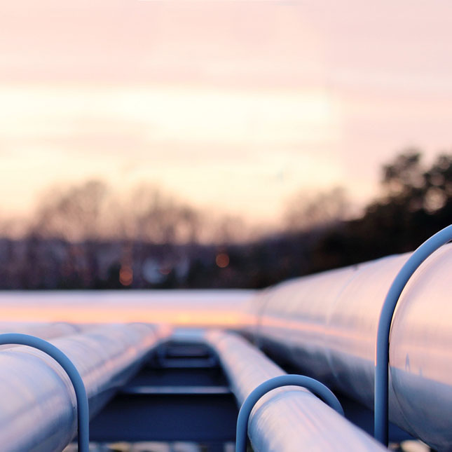 ELECTRICITY COMPANY NATURAL GAS PROVIDER visual data 5