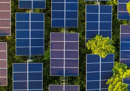 Field of solar panels