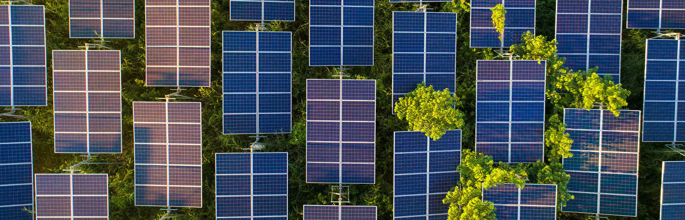 Field of solar panels